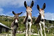 90 In tre si avvicinano a pochi passi